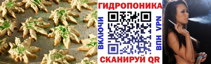 закладка  Менделеевск  Еда ТГК конопля 
