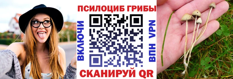 Псилоцибиновые грибы мухоморы  сколько стоит  Менделеевск 